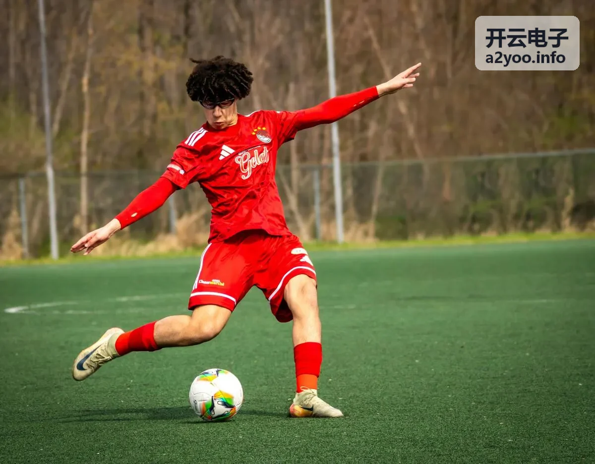 开云电子电源管理元件产品